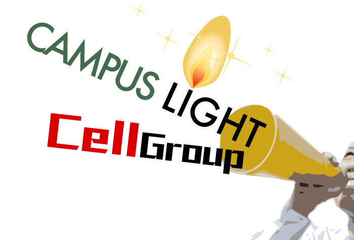 2012light-group-011